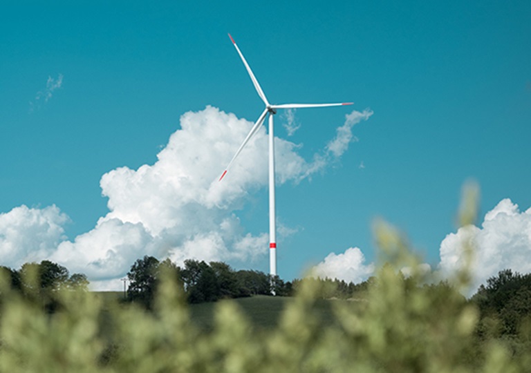 Sustainability FAQ